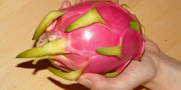 Pitaya : Le fruit exotique avec de nombreux avantages pour la santé